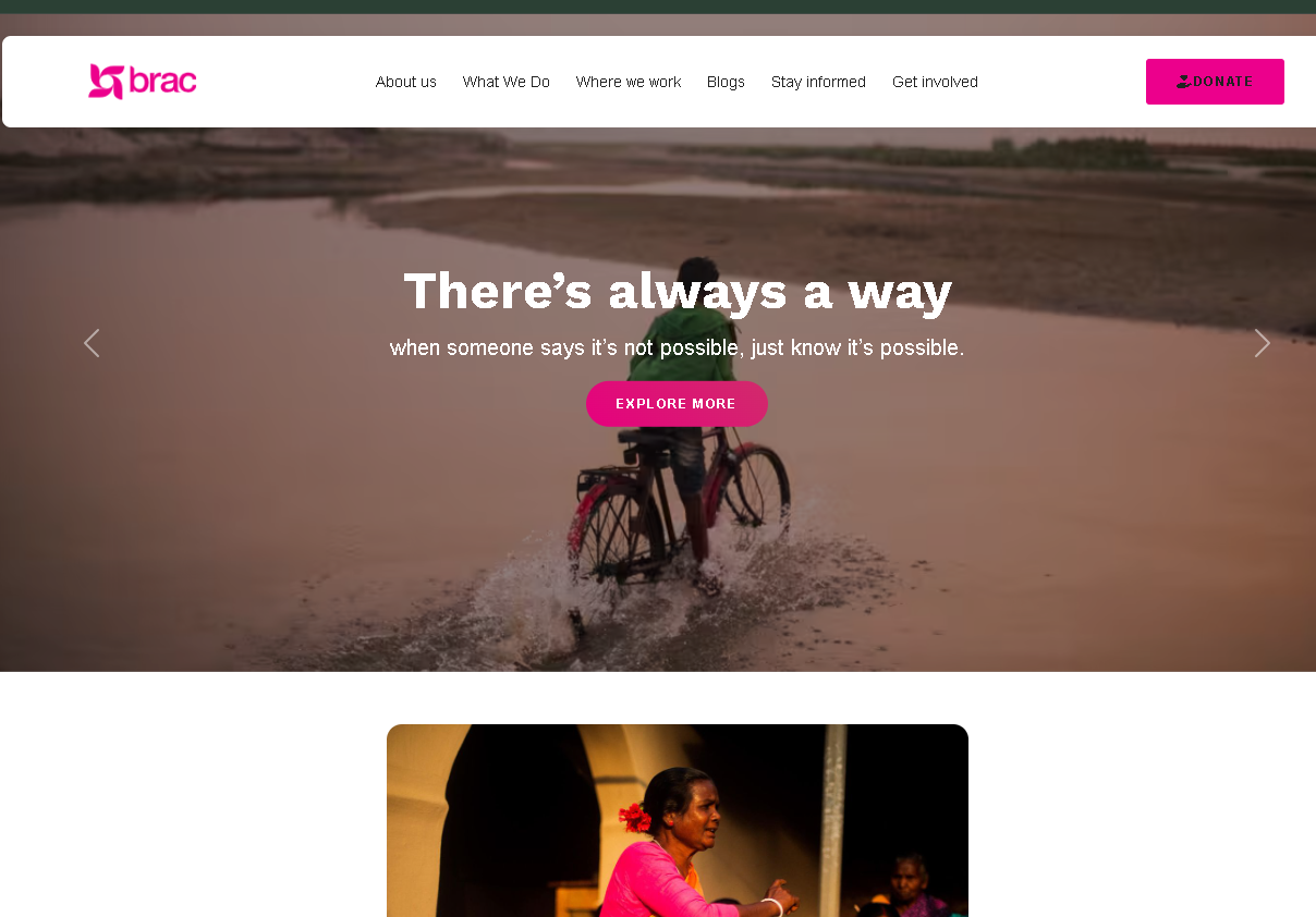 WordPress NGO project